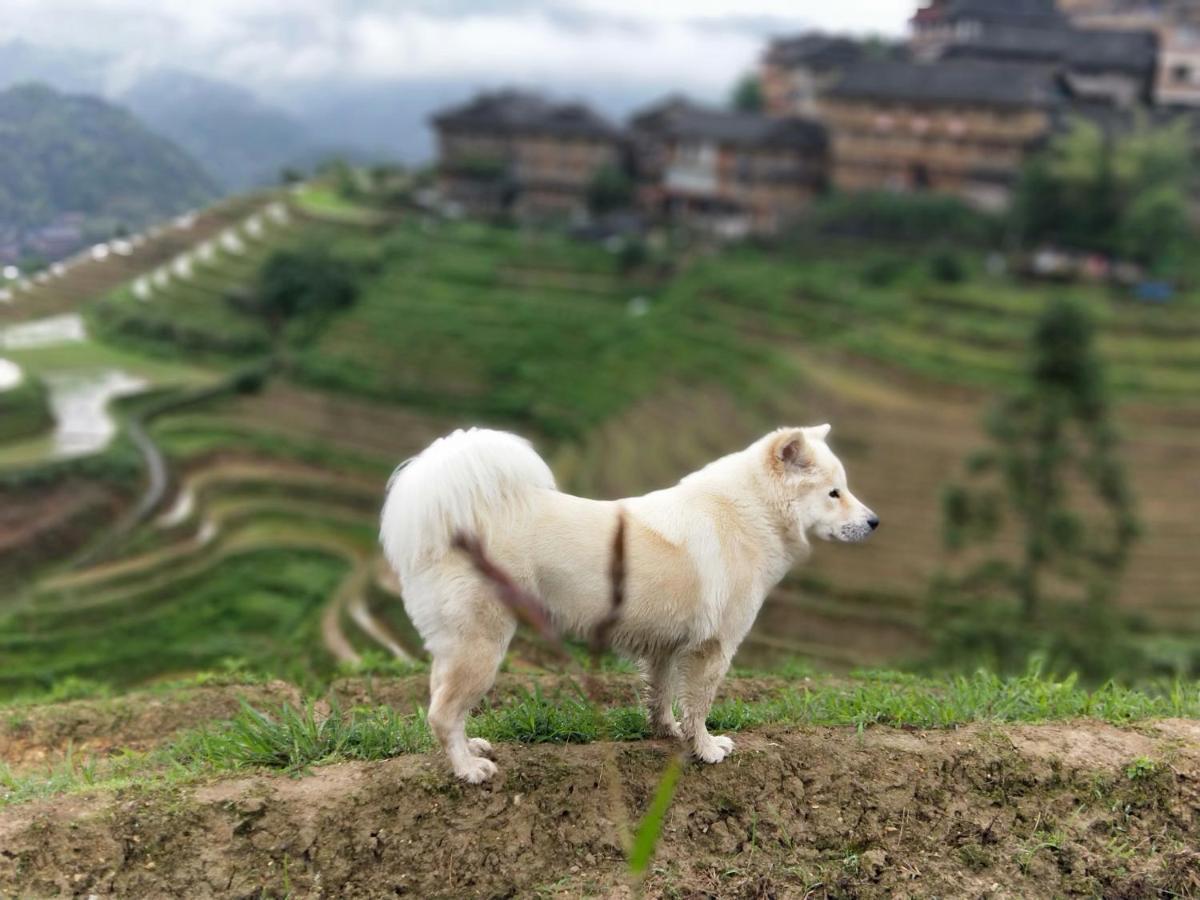 Dragon'S Den Hostel หลงเซิง ภายนอก รูปภาพ
